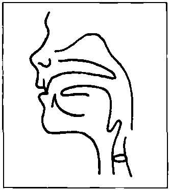 8.1 Labio-Dental Fricatives /f，v/